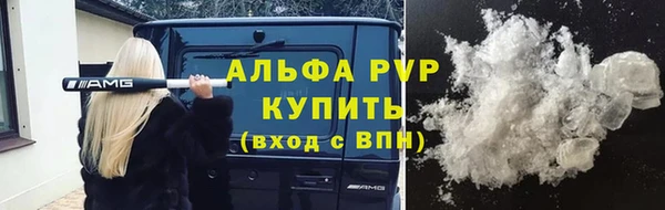 хмурый Белокуриха