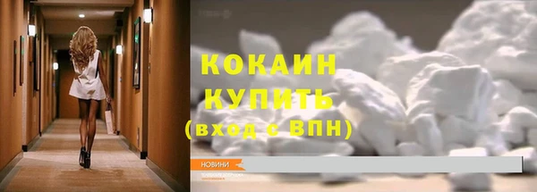 индика Пересвет
