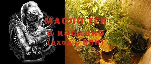 хмурый Белокуриха