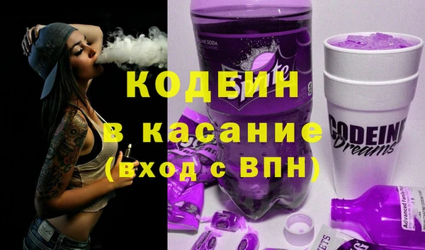 хмурый Белокуриха
