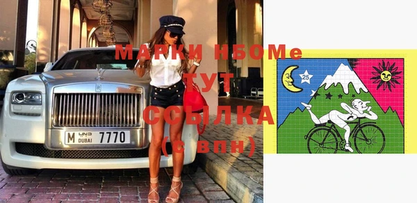 хмурый Белокуриха