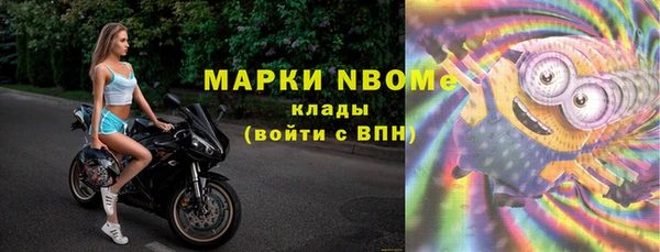 хмурый Белокуриха