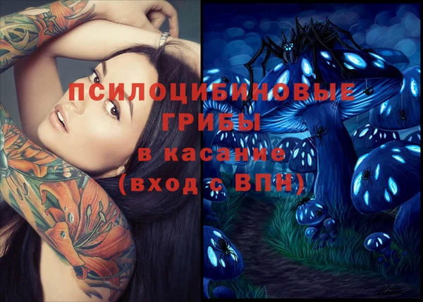 хмурый Белокуриха