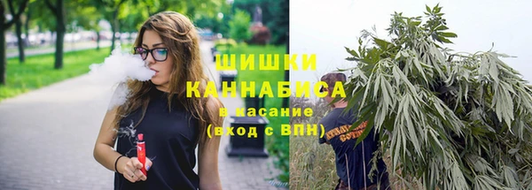 хмурый Белокуриха