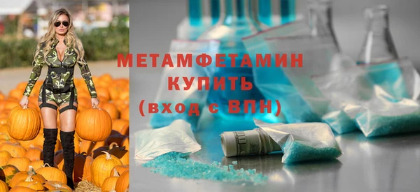 шишки Пестово