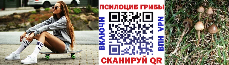 Псилоцибиновые грибы Magic Shrooms  Покровск 